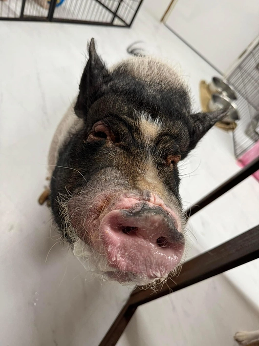 600万円超えました🙏🙂‍↕️