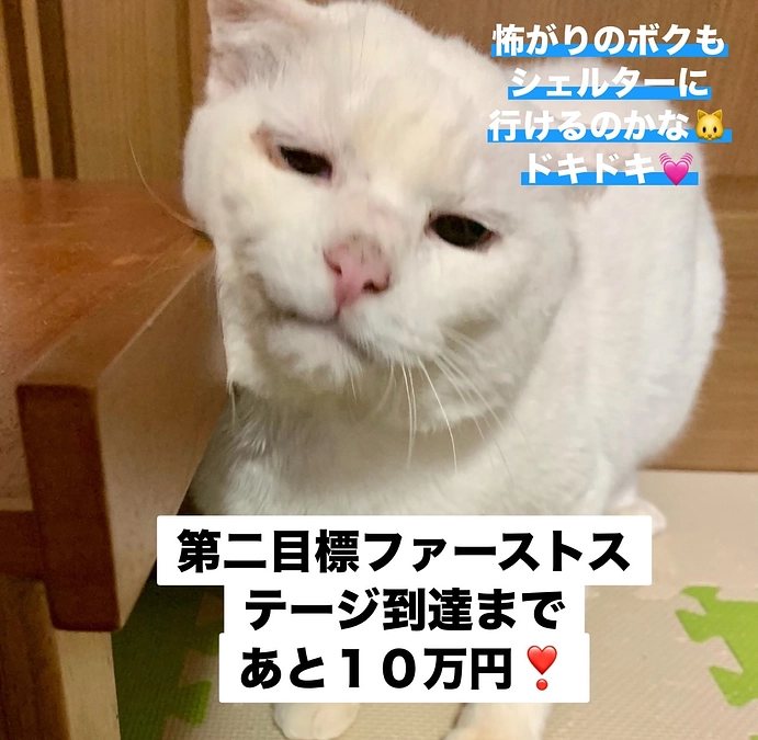 【第二目標ファーストステップまで１０万】ドキドキ💓　神々しい大吾さまからも応援