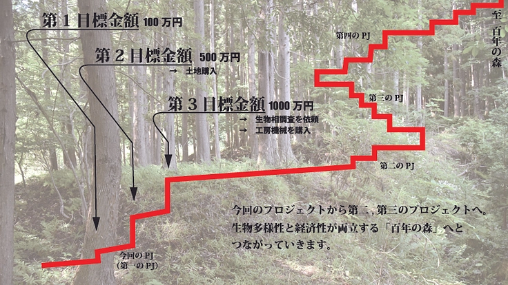 約1万坪の里山を購入し、生物多様性と経済性両立の森を目指したい！ 7枚目