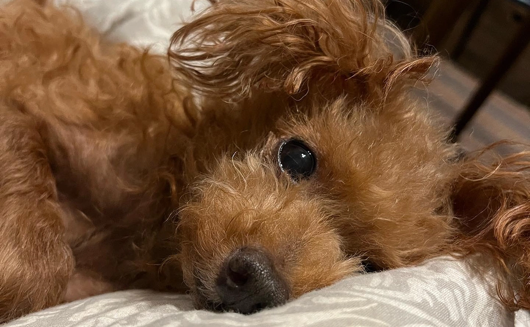 感謝のメール①