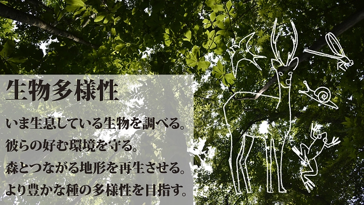 約1万坪の里山を購入し、生物多様性と経済性両立の森を目指したい！ 2枚目