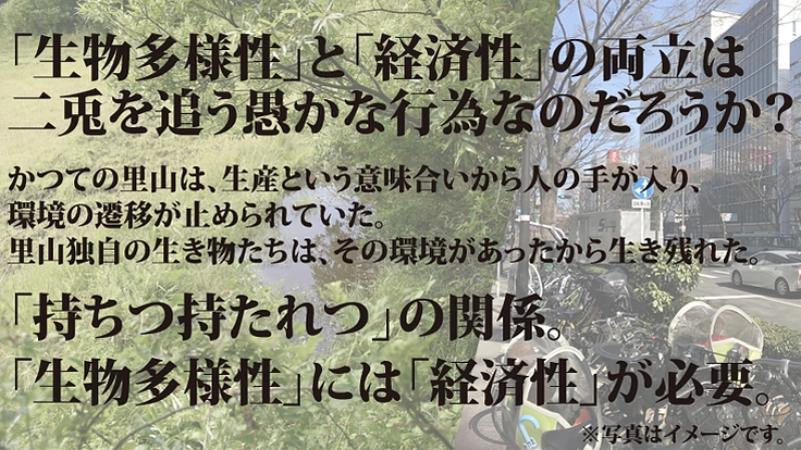 約1万坪の里山を購入し、生物多様性と経済性両立の森を目指したい！ 3枚目