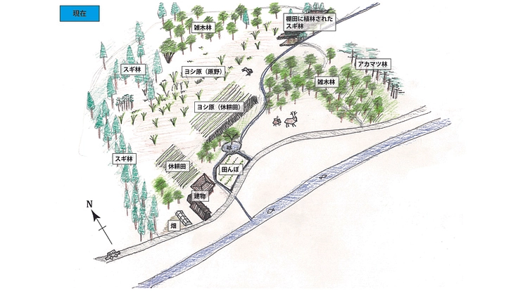 約1万坪の里山を購入し、生物多様性と経済性両立の森を目指したい！ 5枚目