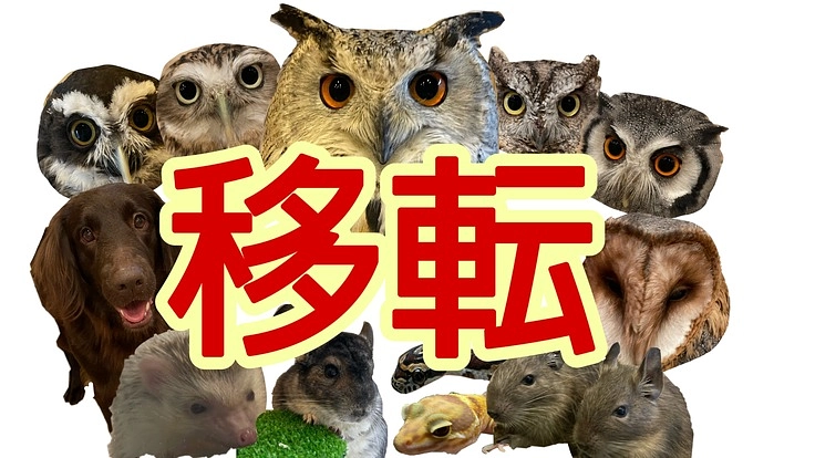 【移転】〜出会いの場所〜動物が幸せになる為の手伝いがしたい!