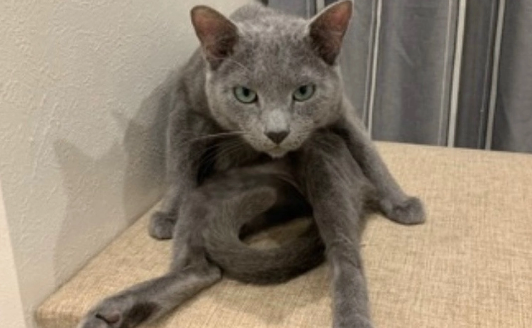 【リターン不要】　ココ全力支援　1000