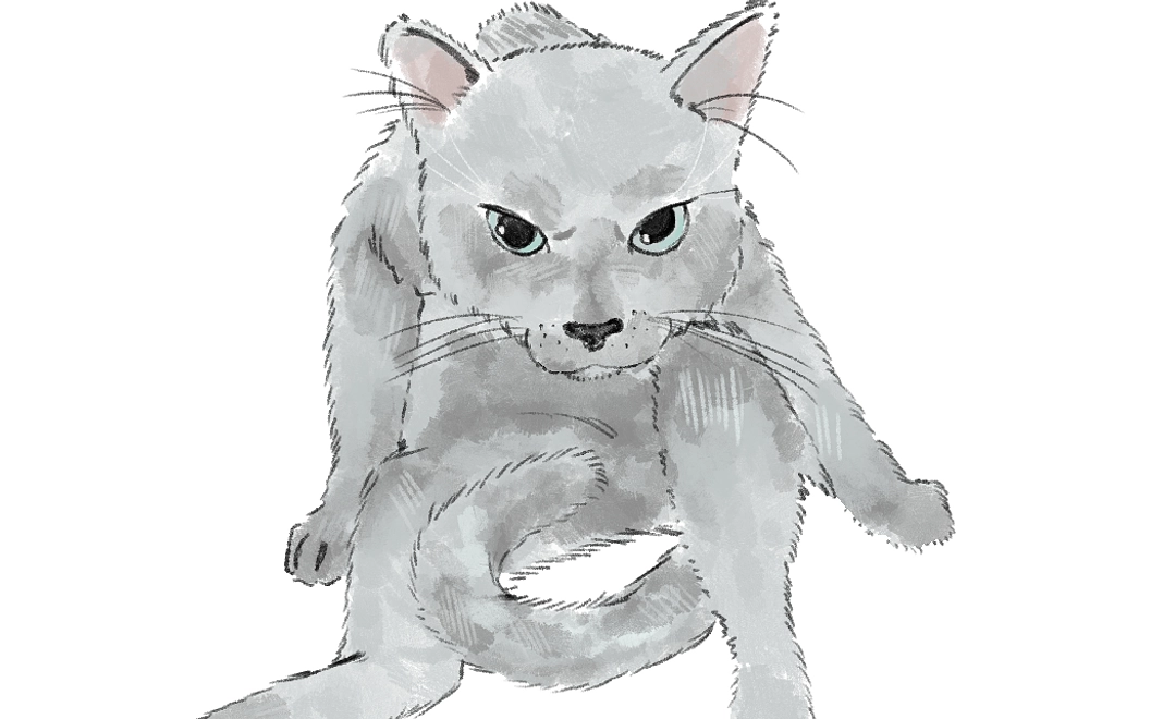 ココ全力支援　3000