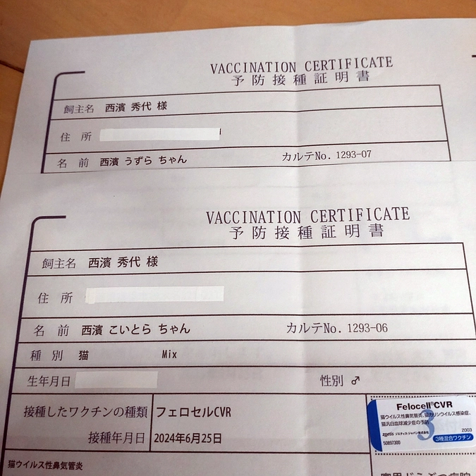 ワクチン接種💉