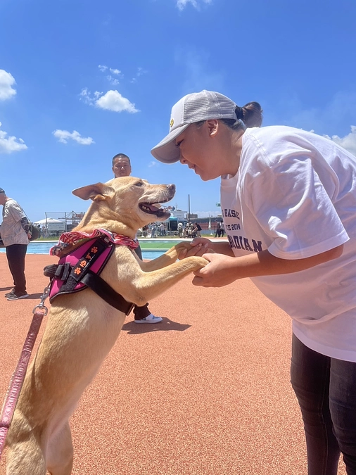 私とってのガーディアンとは