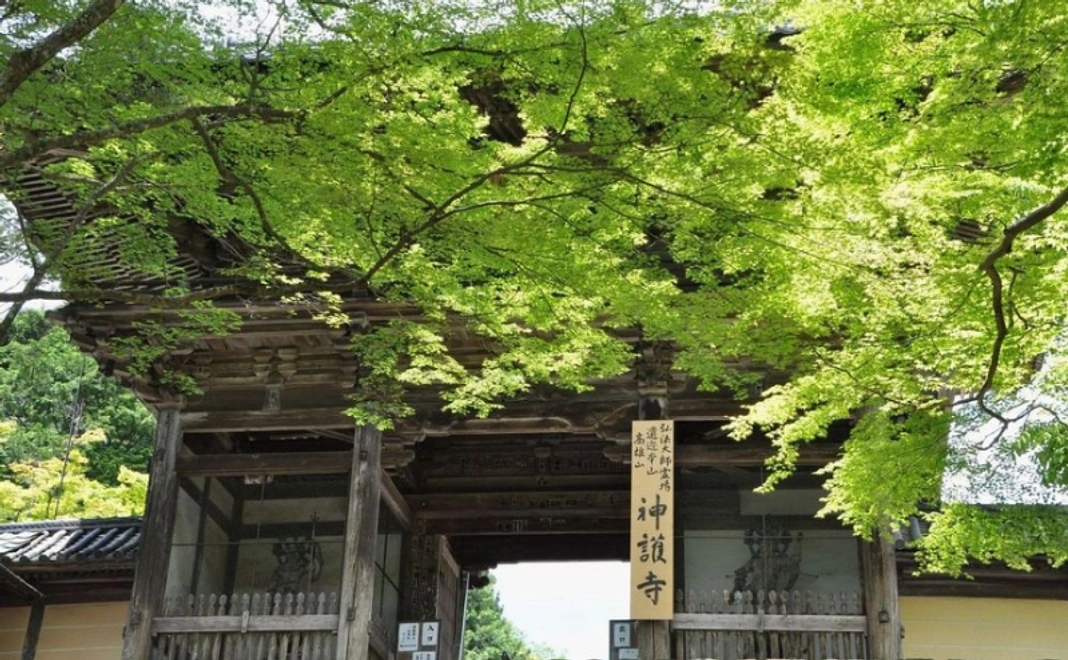 【A】お気持ち応援・拝観券コース