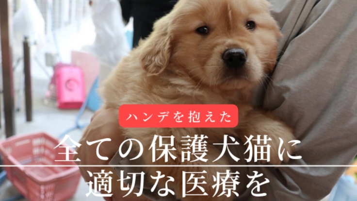 引き取り手のない犬猫を守るため。至急、病院近くへシェルターの移転を