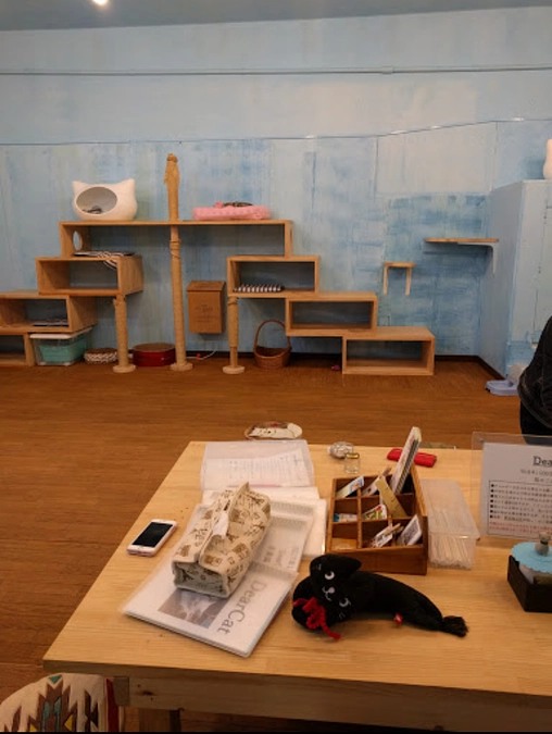 保護猫カフェDearCatオーナー　笹尾奈緒子様からの応援メッセージ