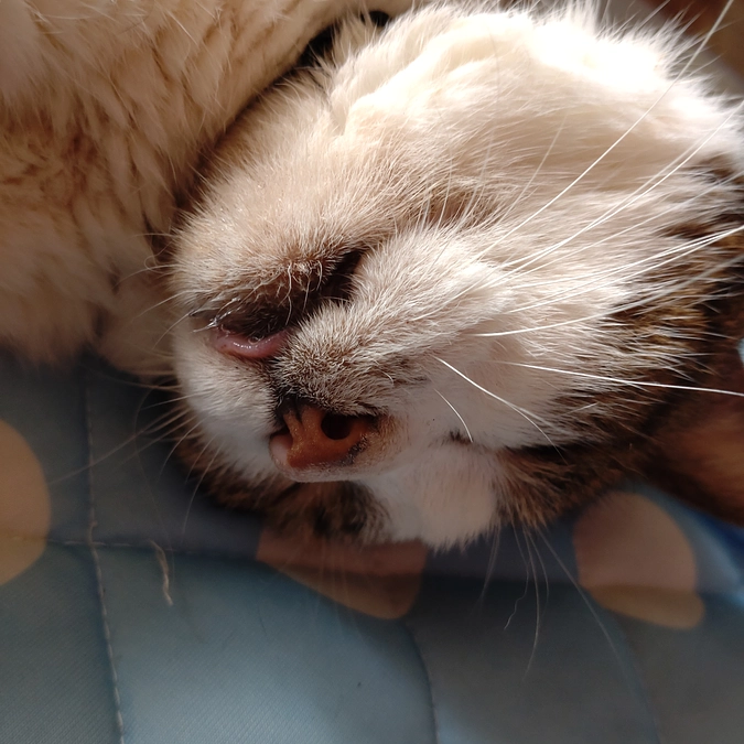 お気に入り⁈🤗