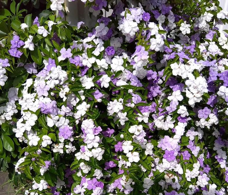 7/12〜8/31　単発クラファン実行させて頂きます💦🙌🙏💞