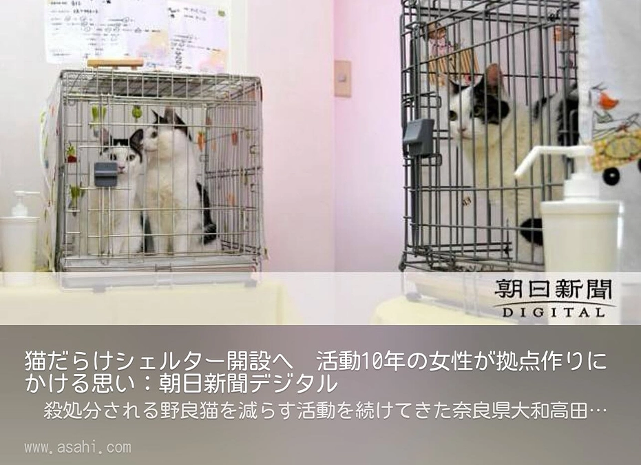 【あと２９時間です！最終目標達成まであと６５万円！】朝日新聞掲載された全文読めますよー！