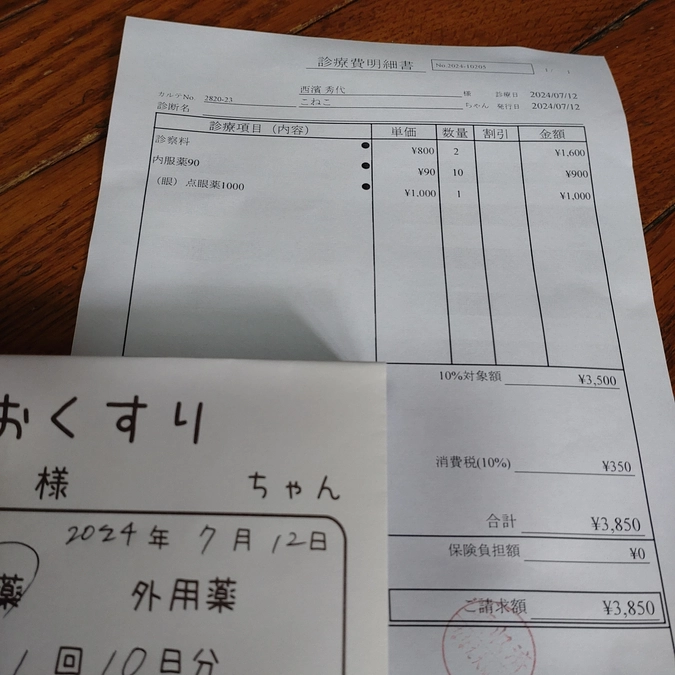 チビーズ　病院へ🚙