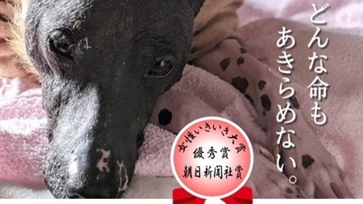 青い鳥サポーター募集中〜殺処分ゼロを守り抜くためのご支援を〜