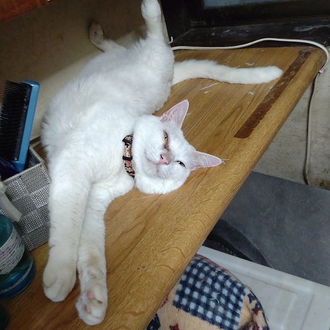 起こしちゃったねっ😅