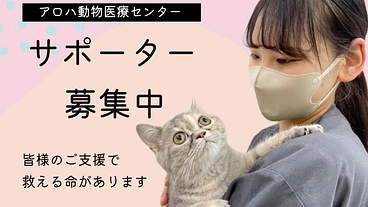 動物病院だから出来る保護活動を続けていきたい！動物に幸せな一生を のトップ画像