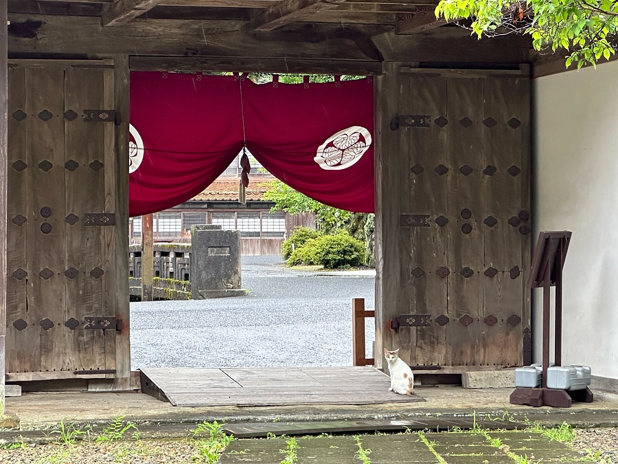 雨の石見銀山より