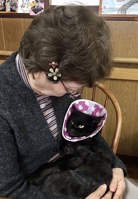 NPO法人ねこのわNara 代表　林映子様からの応援メッセージ