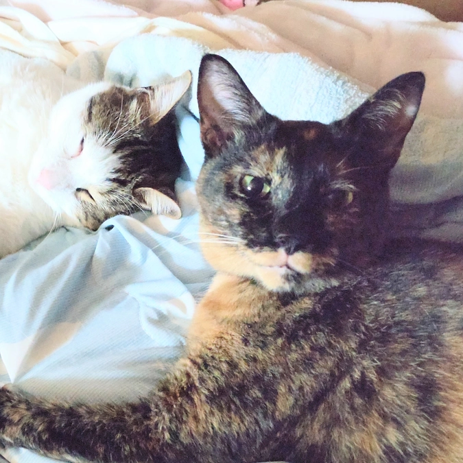 目があってしまった🤗