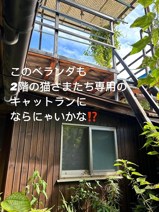 残り【6日】となりました💦　ドキドキ💓