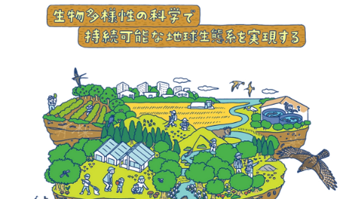 ファイナリスト企業紹介：サンリット・シードリングス編