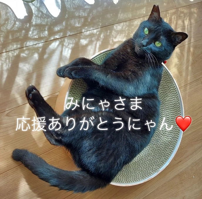 残り【5日】いただいた応援コメントのご紹介①