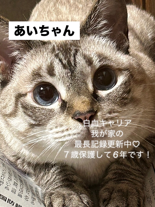 残り【4日】いただいた応援コメントのご紹介②