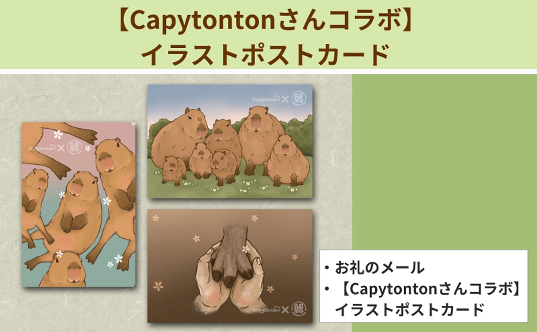 ＜7/23追加＞【Capytontonさんコラボ】イラストポストカード