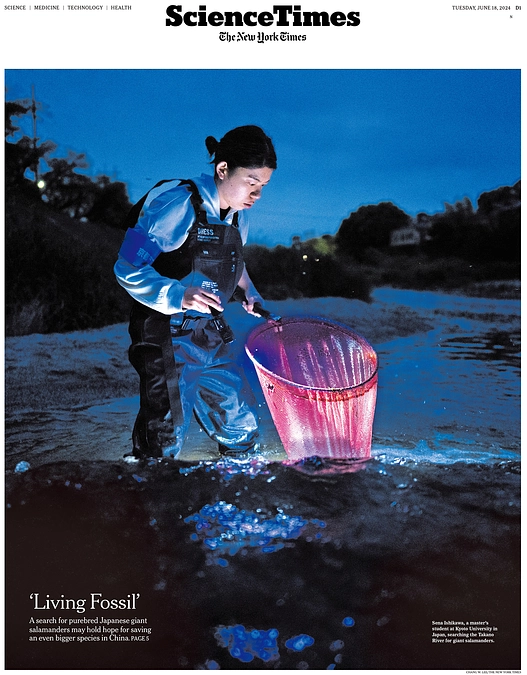 ニューヨークタイムズ紙による取材を受けました