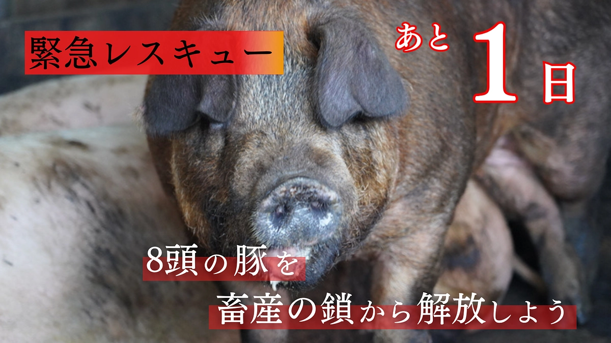 【終了まで残り1日】より多くの方にこのプロジェクトが届きますように