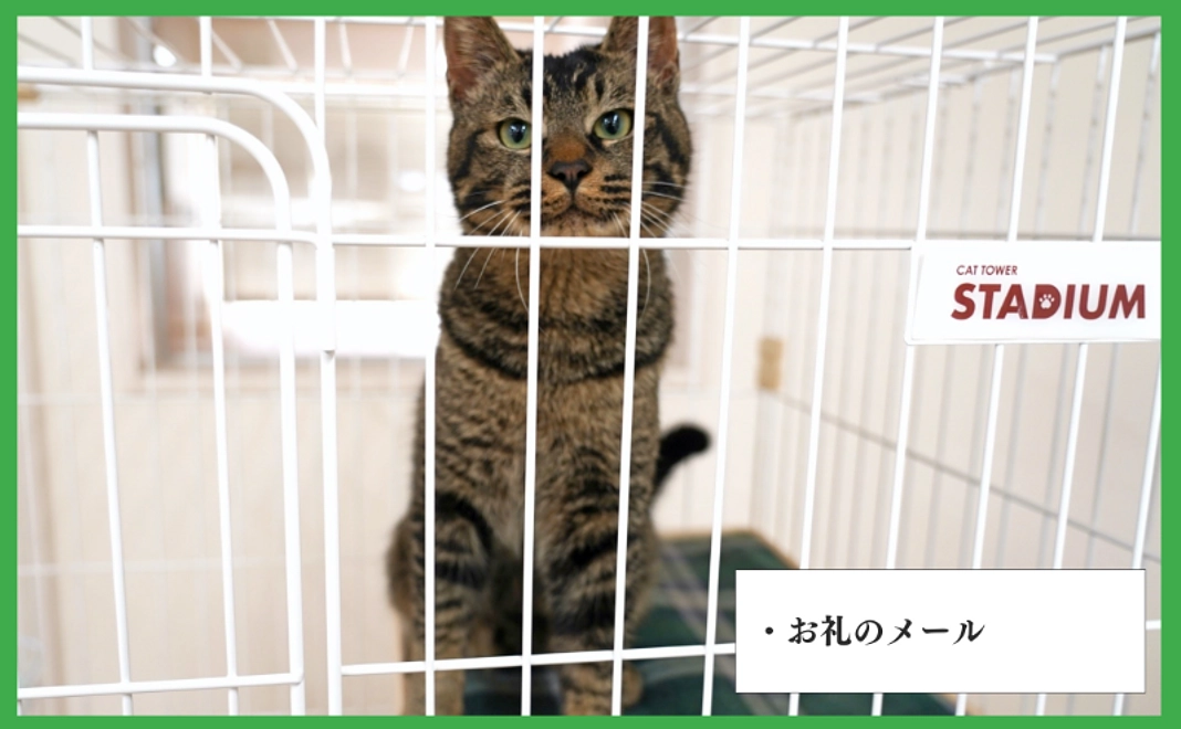 全力支援コース|3,000円