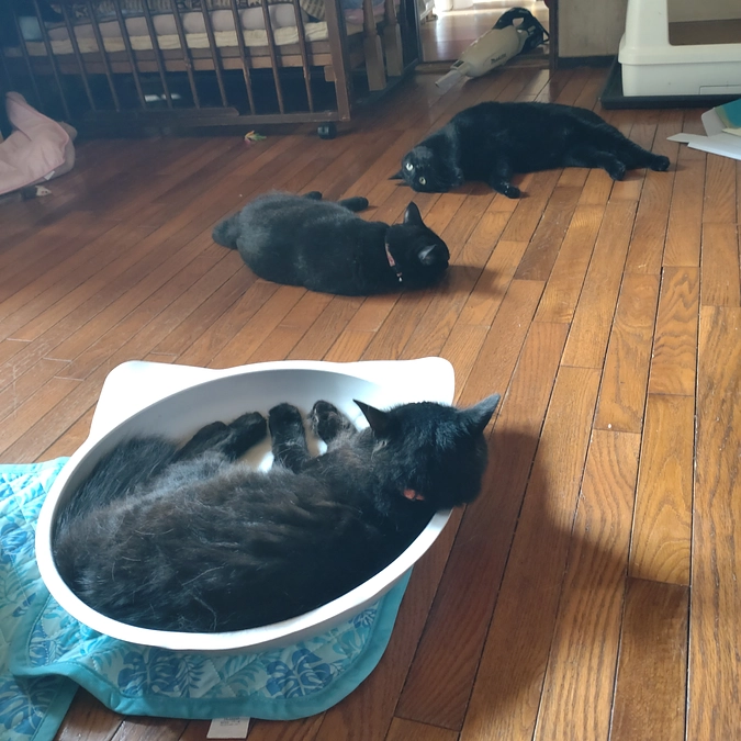 唯一　エアコンのある部屋😁