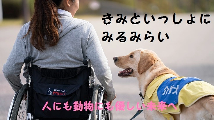 【未来への手紙】”時の便り”の限定版を製作し介助犬を応援します!