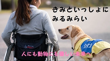 【未来への手紙】”時の便り”の限定版を製作し介助犬を応援します！ のトップ画像