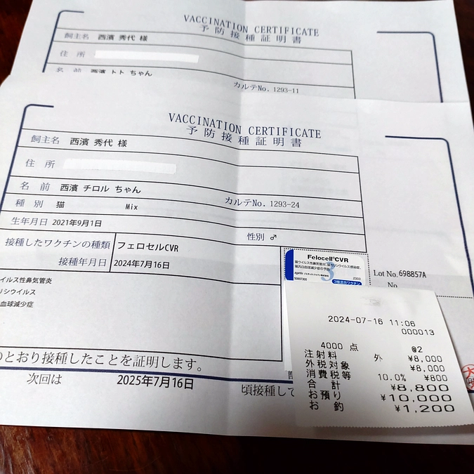 ワクチン接種💉