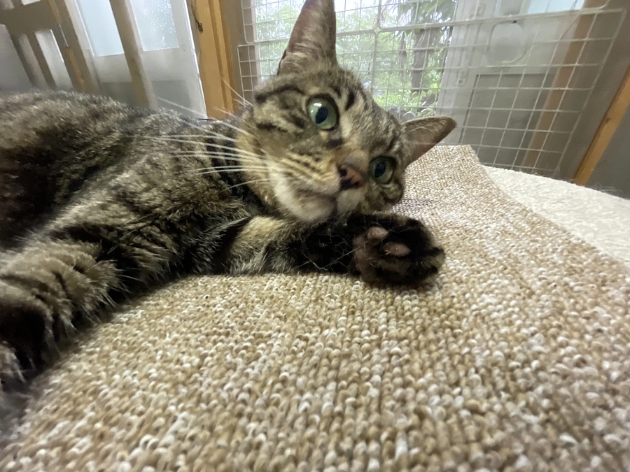 ご無沙汰しております