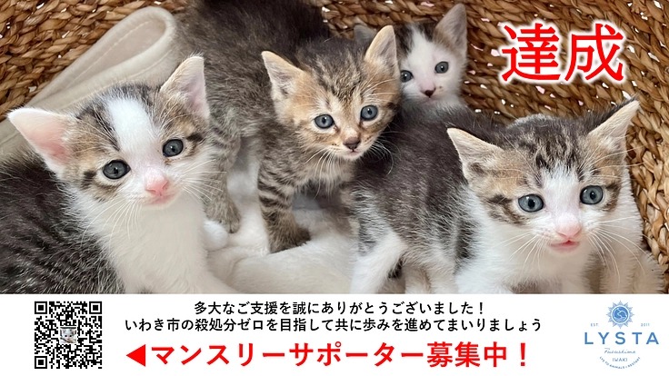 福島県犬猫殺処分全国ワースト2位脱却へ！LYSTAの活動にご支援を