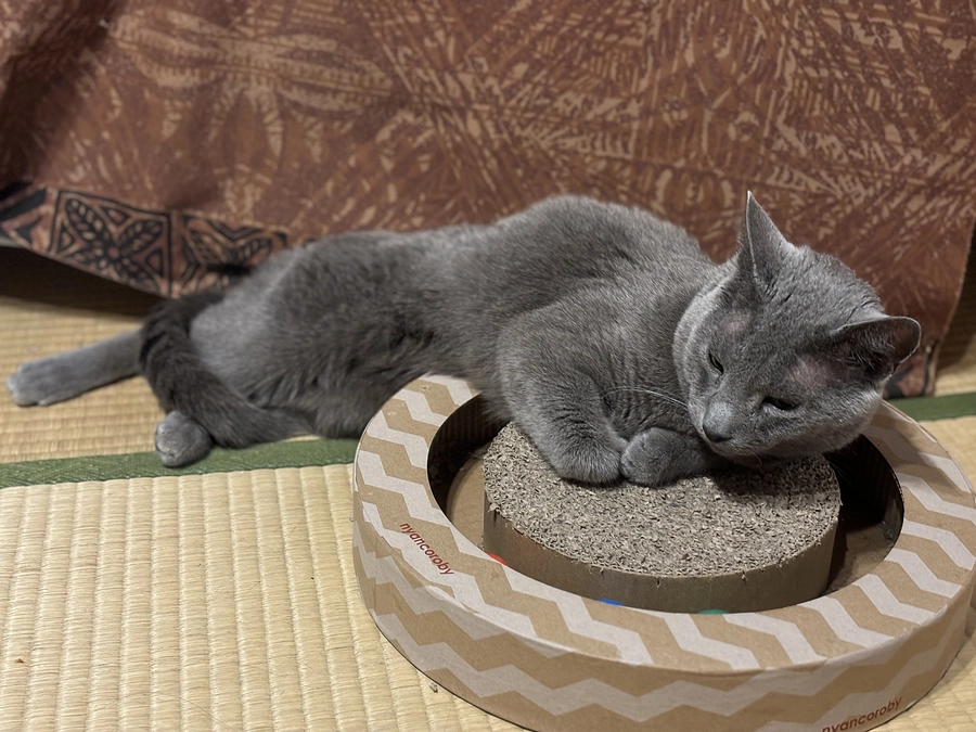 薬の副作用で…