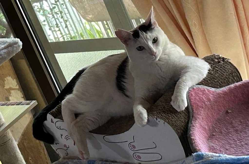 崩壊多発！暑さも忘れる現場