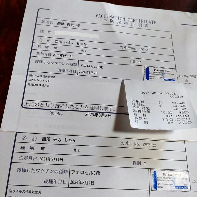 ワクチン接種💉