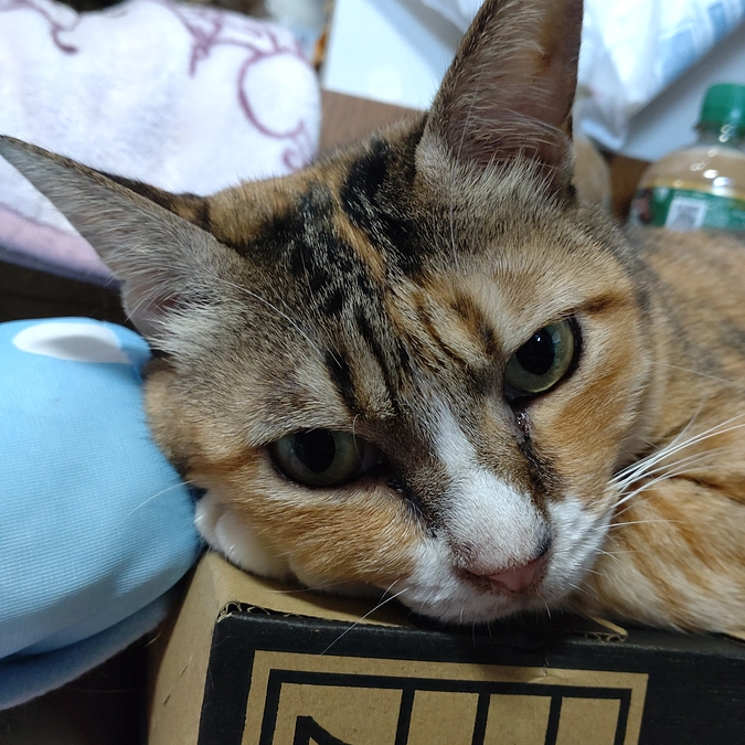 可愛い❤　お顔が😁