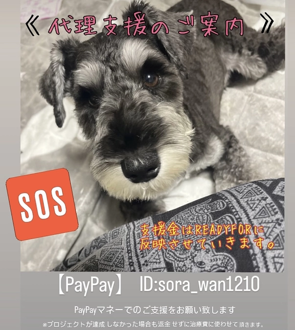 プロジェクト6日目