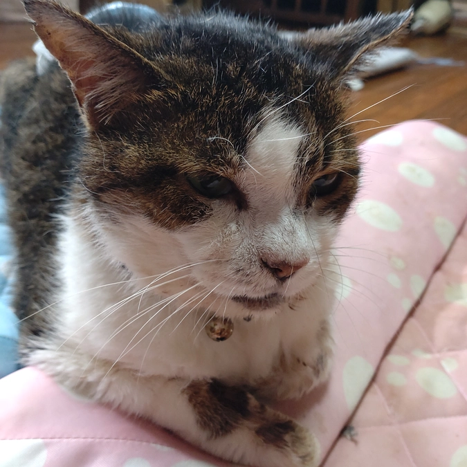 3本目　終了しました💉