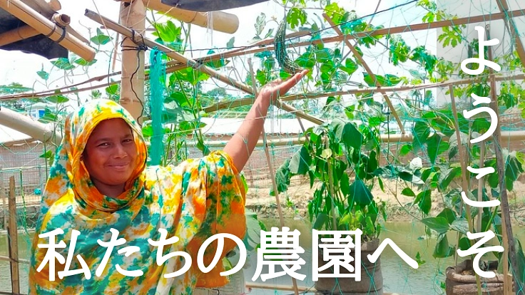 家庭菜園支援と市場の建設で、ロヒンギャ難民と受け入れ地域を応援!