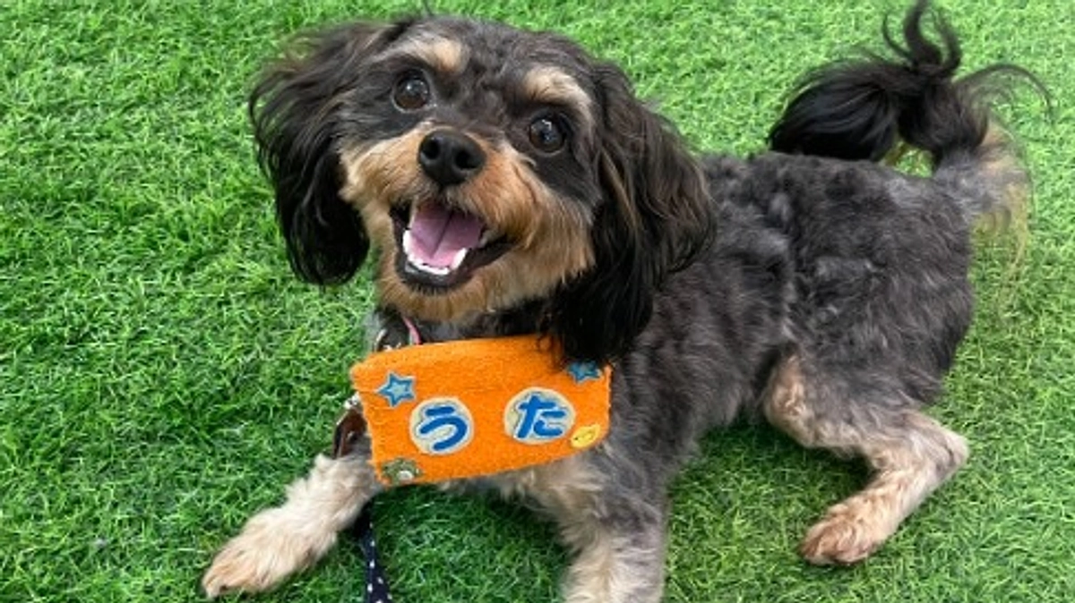 NPOフェスティバルに参加しました！！