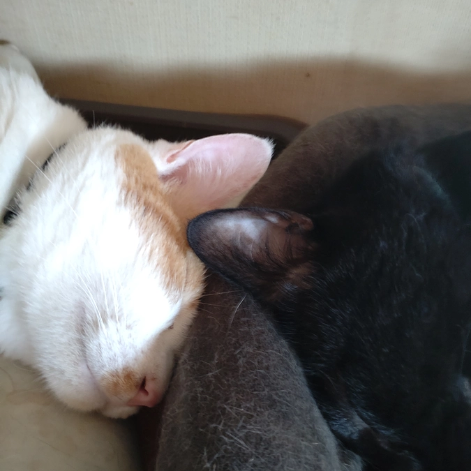 至福のひととき⤴