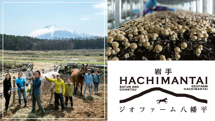 食べて支えるウマ〜い引退馬支援！？ウマッシュルーム栽培ハウス建設へ