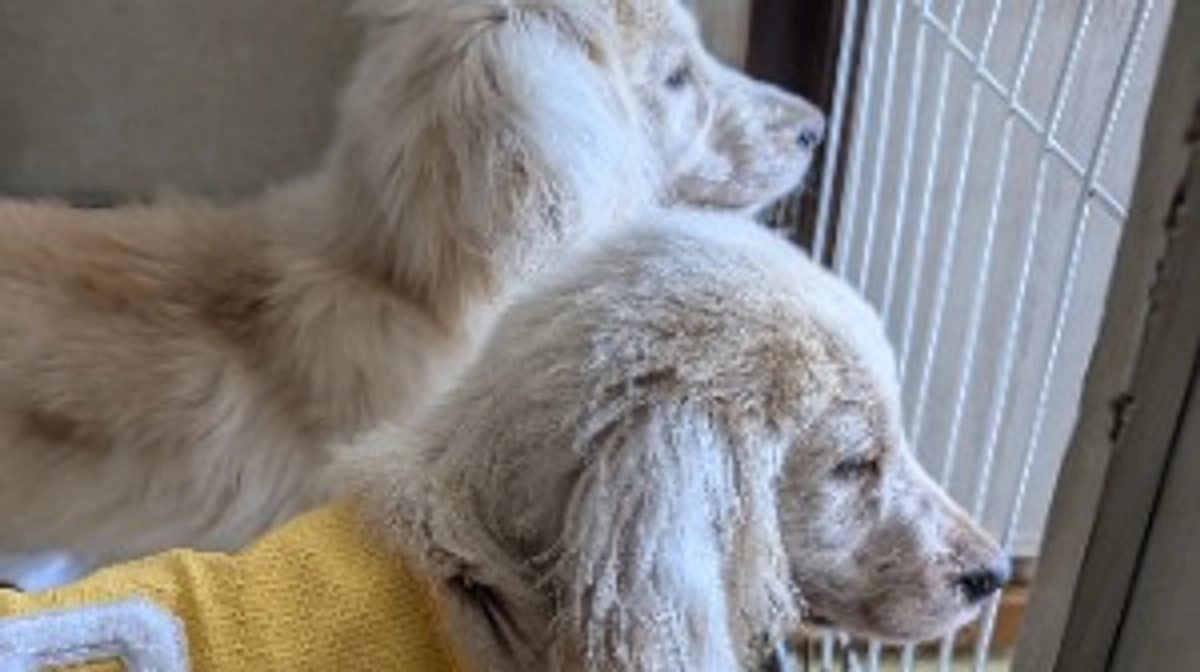 2024年5月・6月の収支報告